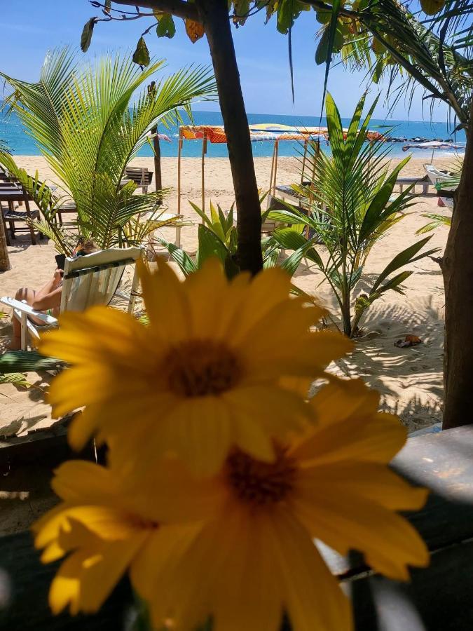 Mallika Guest House Tangalle Ngoại thất bức ảnh